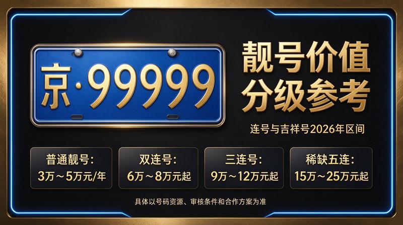 闲置车牌指标业务咨询场景